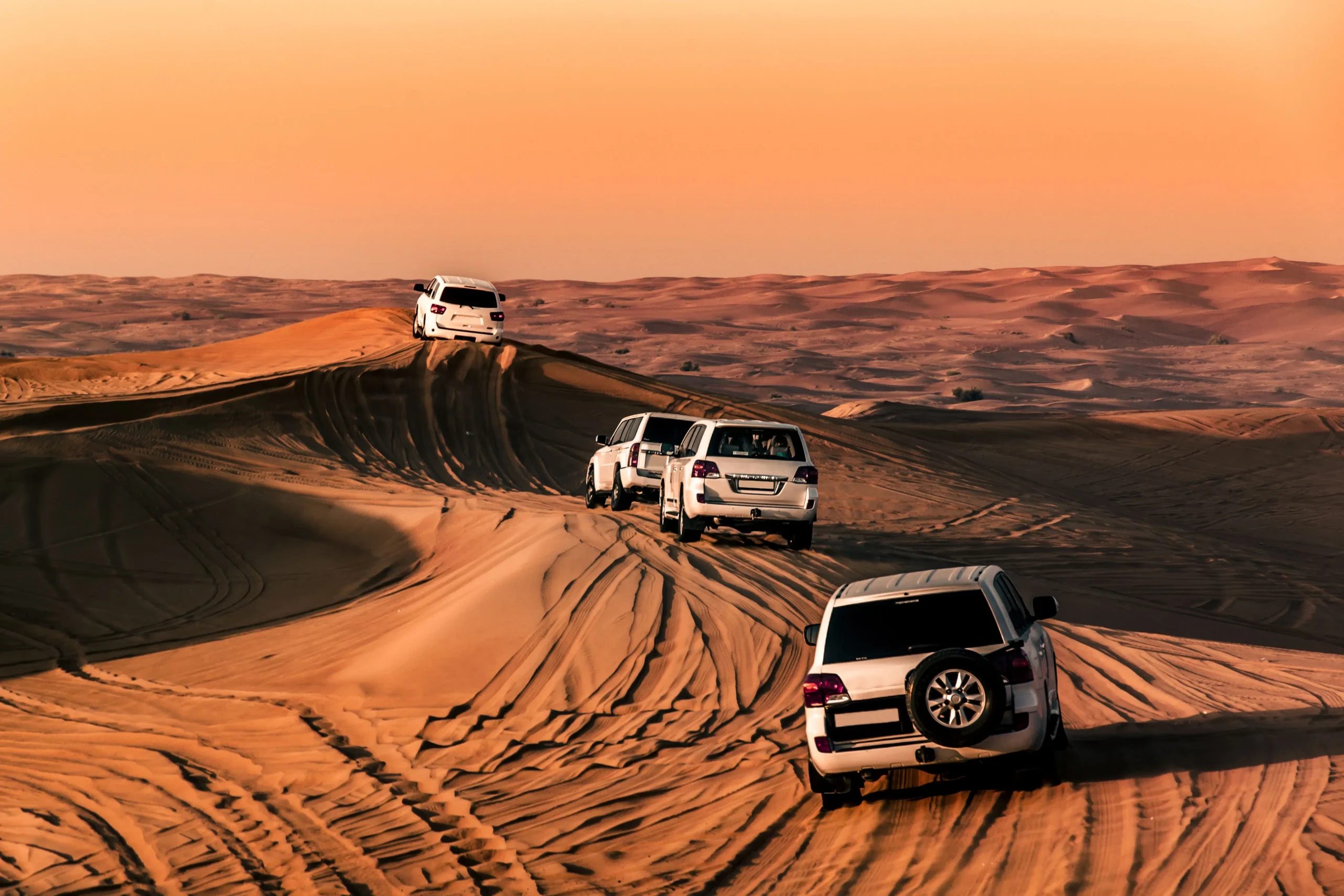 Desert Safari Adventure - Image 2
