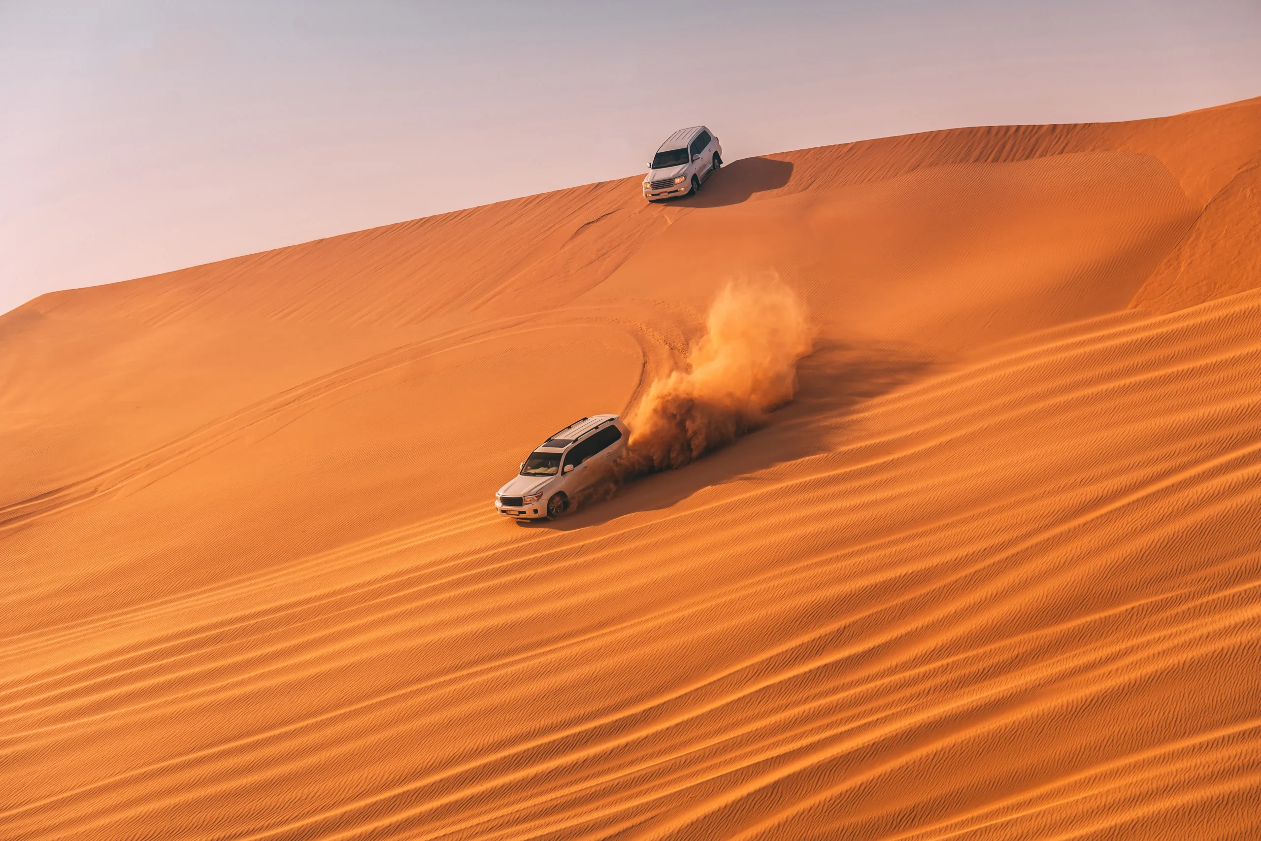 Desert Safari Adventure - Image 3