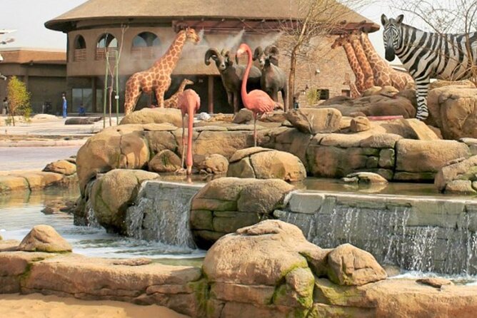 Dubai Safari Park - Image 5